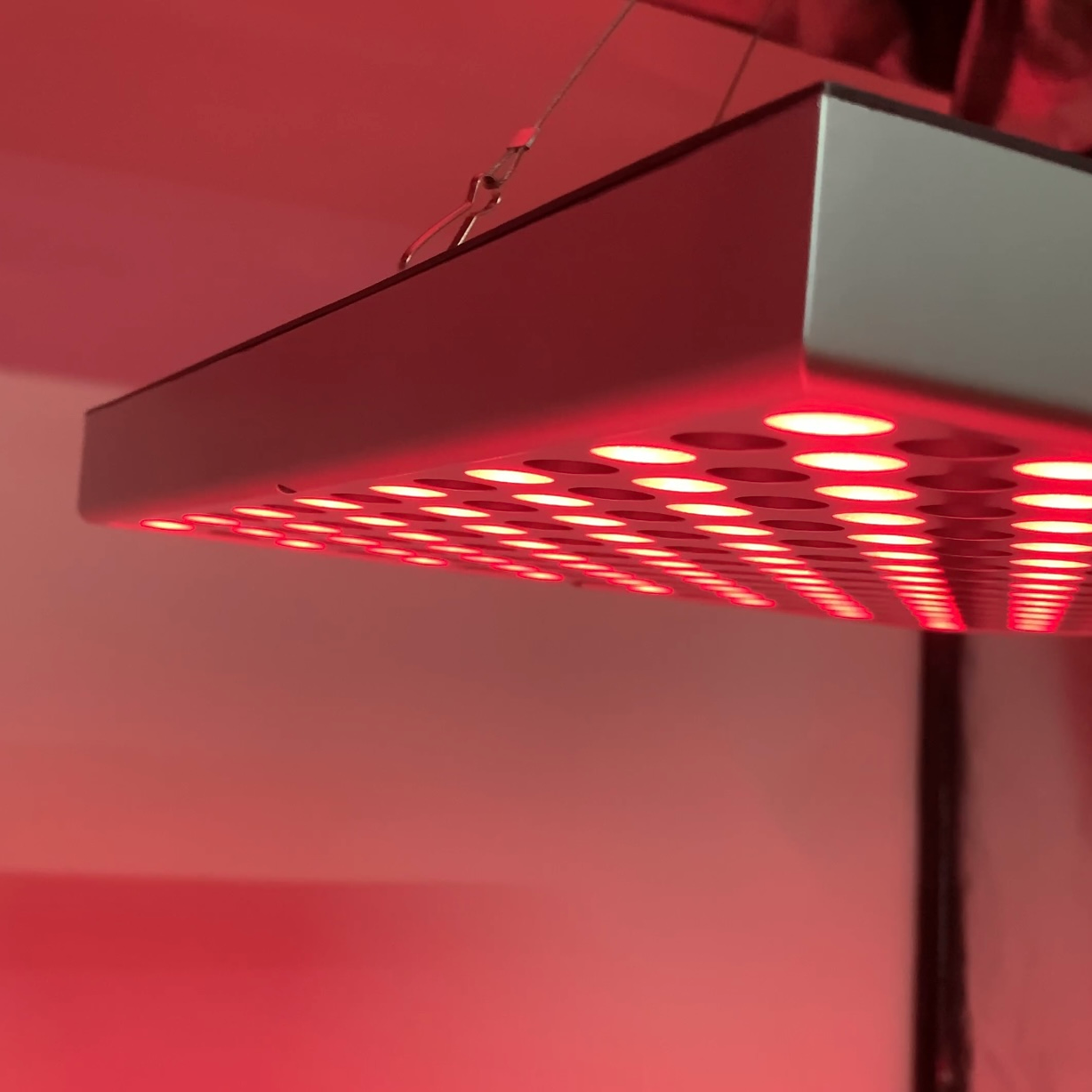 Wall-mounted red light therapy panel.