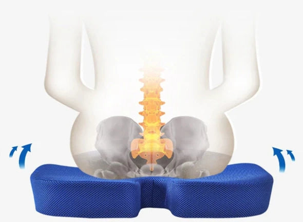 Illustration of an orthopedic seat cushion supporting spinal alignment with a skeleton representation